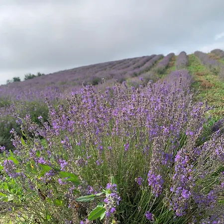 Ca D'censo Marsaglia
